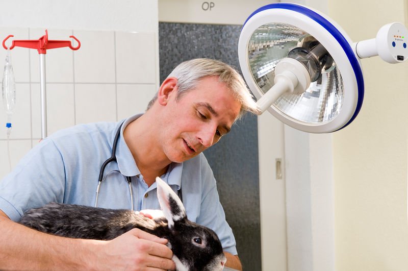 lampe de chirurgie et d'examen OSRAM